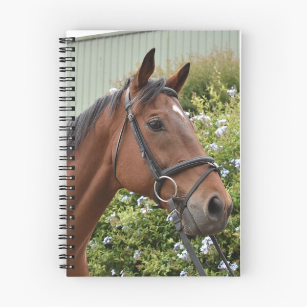 Item preview, Teddy Portrait designed and sold by Oakwood Riding School.
