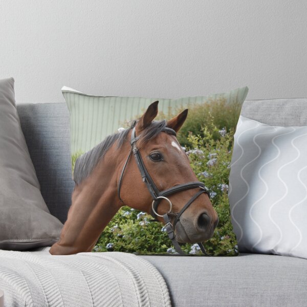 Item preview, Teddy Portrait designed and sold by Oakwood Riding School.