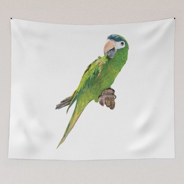 Item preview, The noble macaw designed and sold by obscurite.
