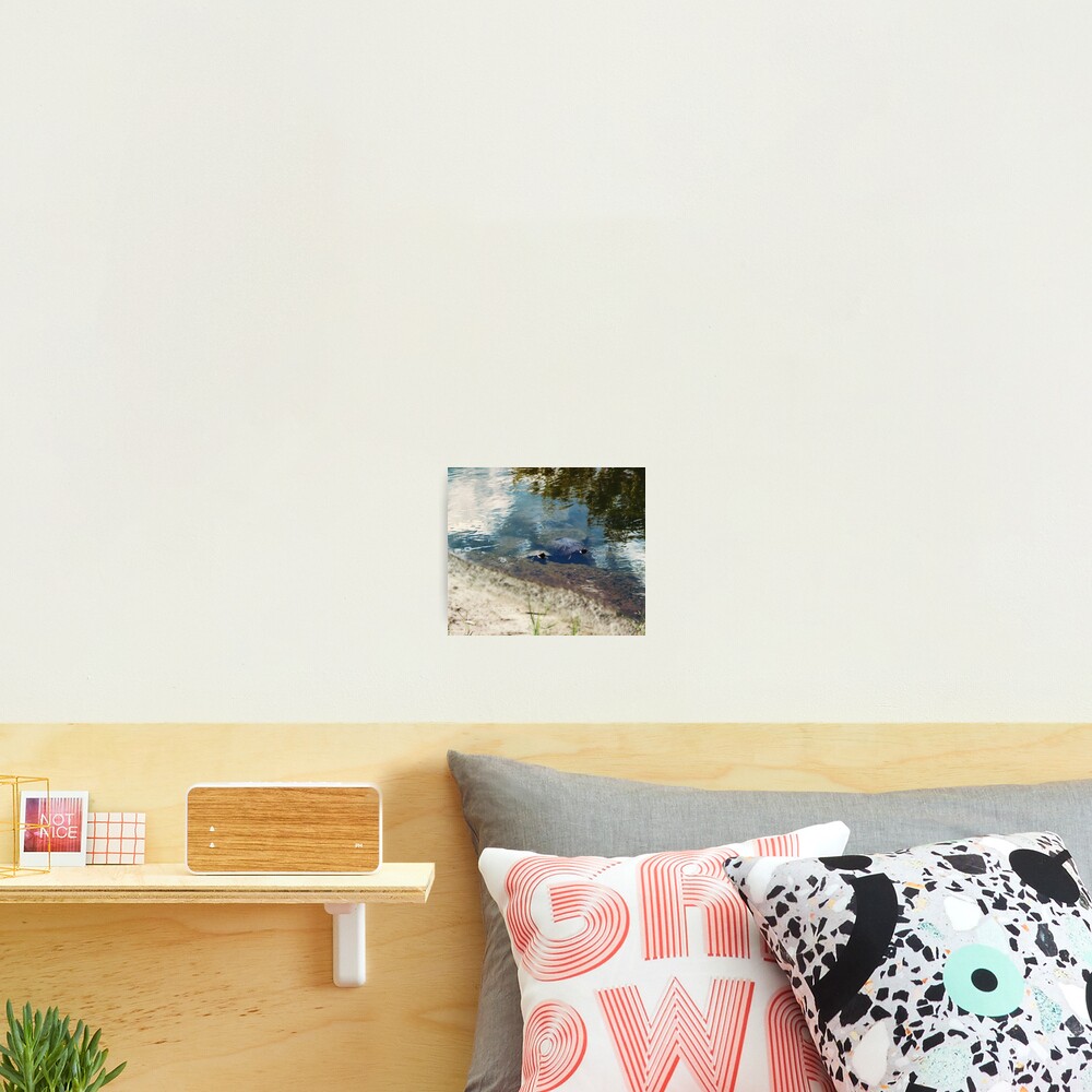 Item preview, Photographic Print designed and sold by RoxanneG.