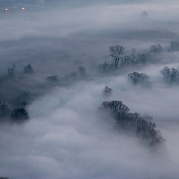 Artwork thumbnail, Morning mist on Adda by pietrofoto