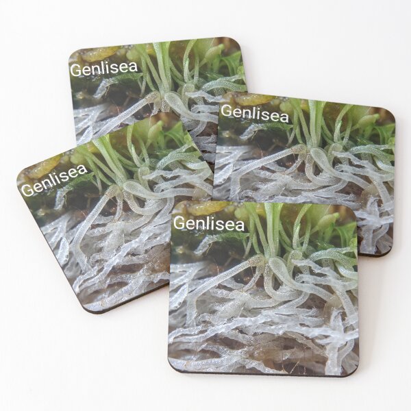 Item preview, Genlisea aka the corkscrew plant #1 designed and sold by Deathplant.