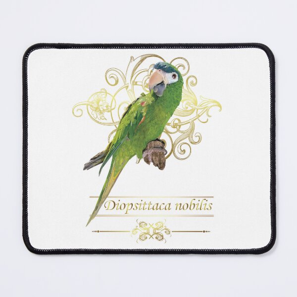 Item preview, The noble macaw designed and sold by obscurite.