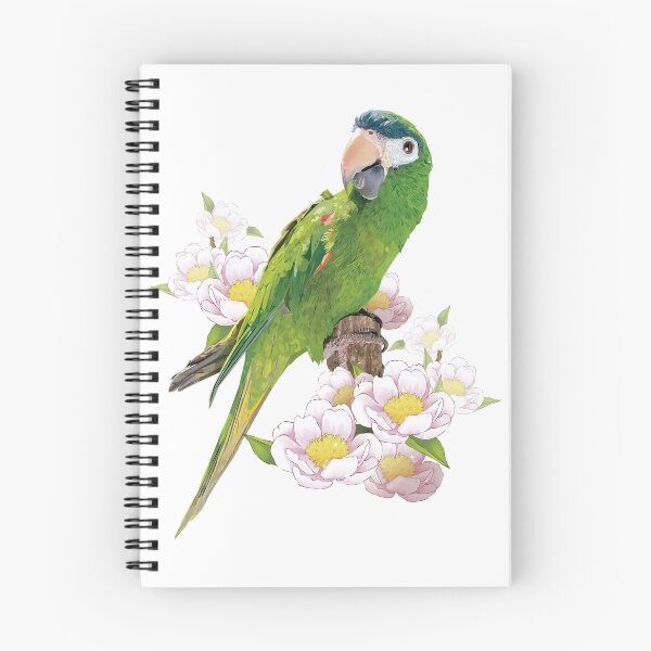 Item preview, The noble macaw designed and sold by obscurite.
