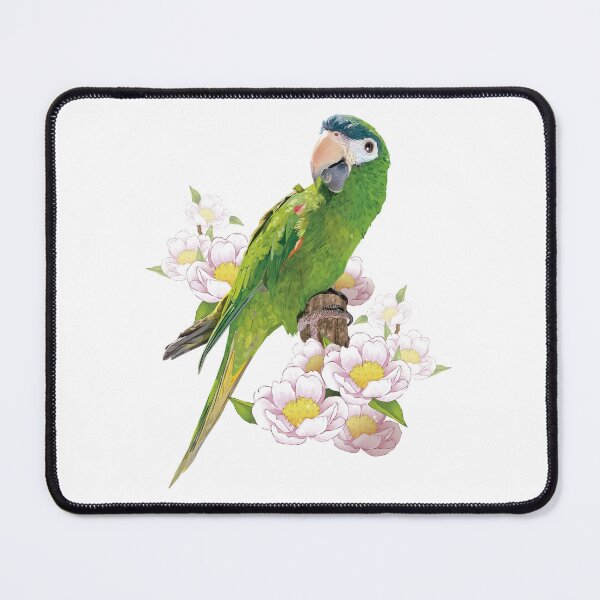 Item preview, The noble macaw designed and sold by obscurite.