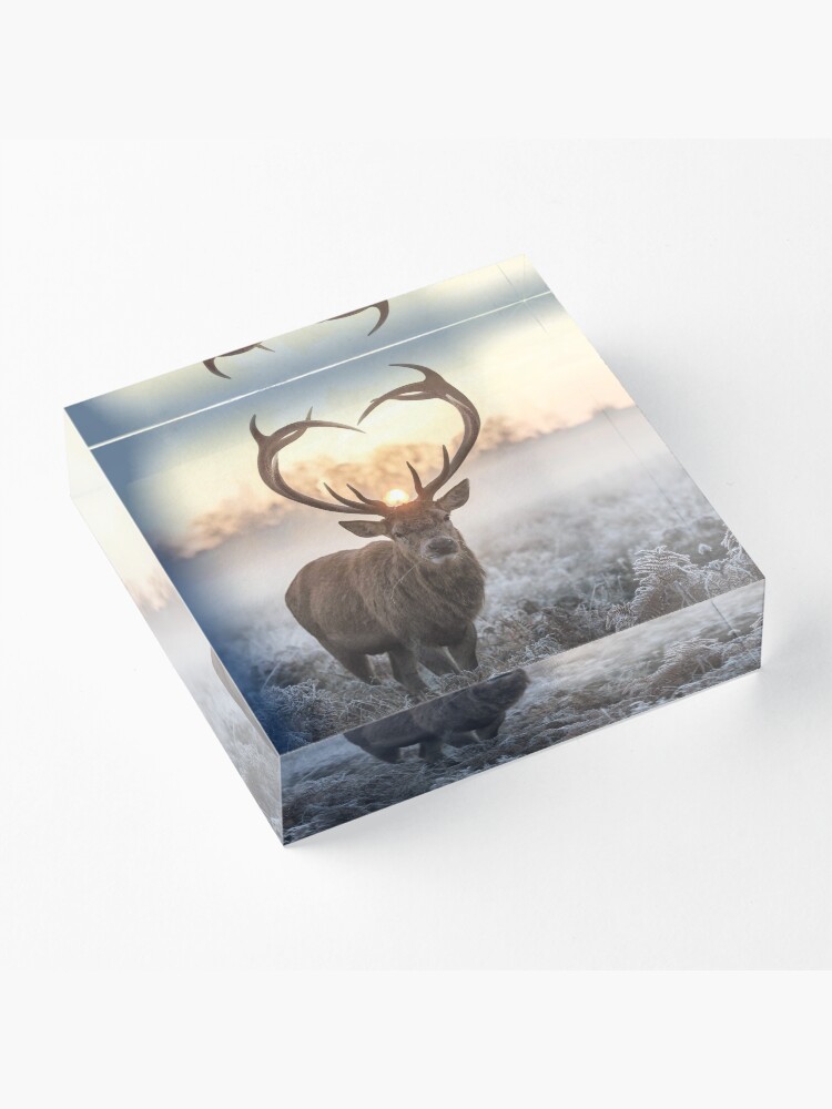 Alternate view of Christmas Love Stag heart shaped antlers Acrylic Block