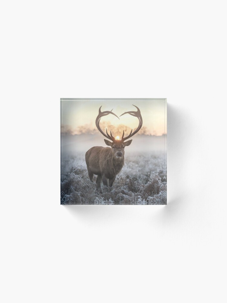Alternate view of Christmas Love Stag heart shaped antlers Acrylic Block