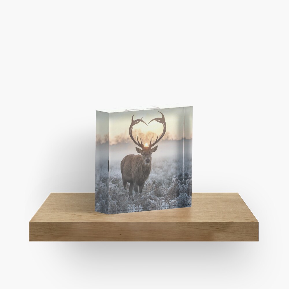 Christmas Love Stag heart shaped antlers Acrylic Block