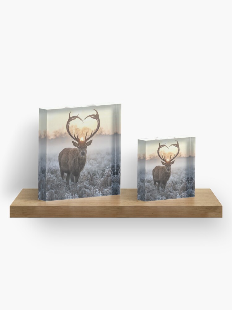 Alternate view of Christmas Love Stag heart shaped antlers Acrylic Block