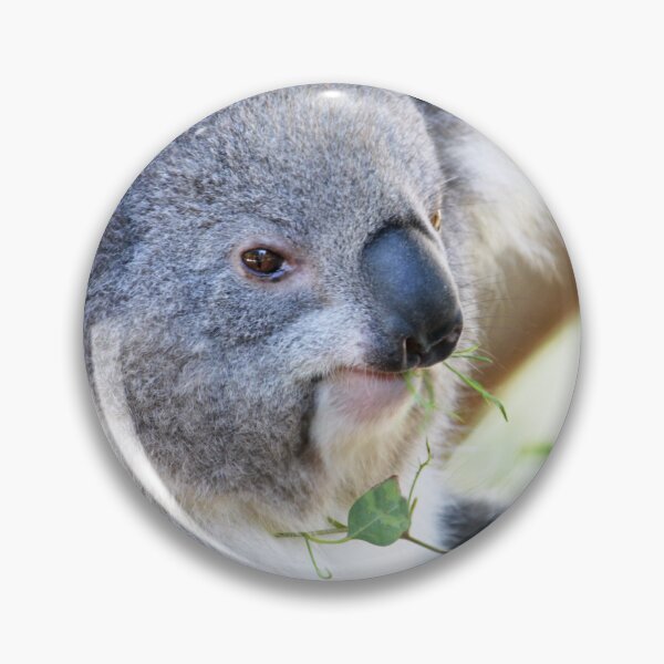 Item preview, Koala designed and sold by johkar-photos.