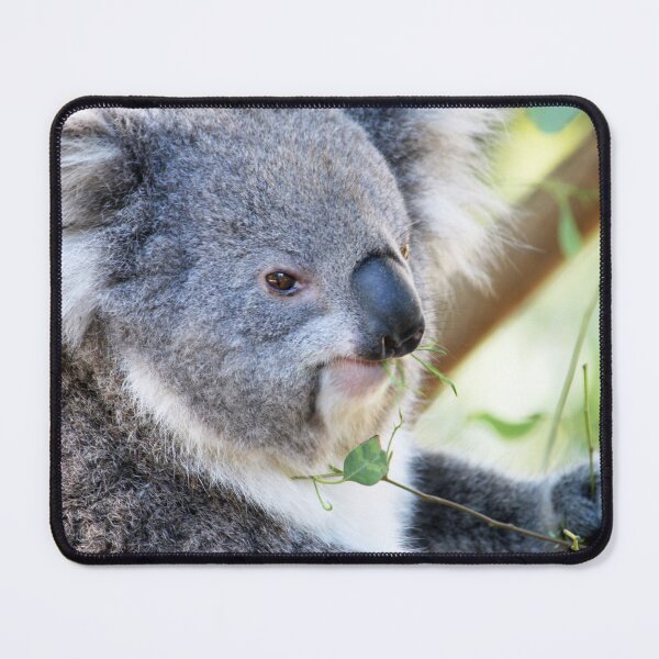 Item preview, Koala designed and sold by johkar-photos.