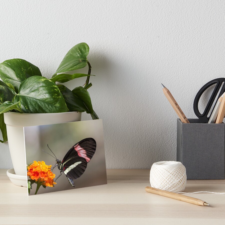 Item preview, Art Board Print designed and sold by pietrofoto.