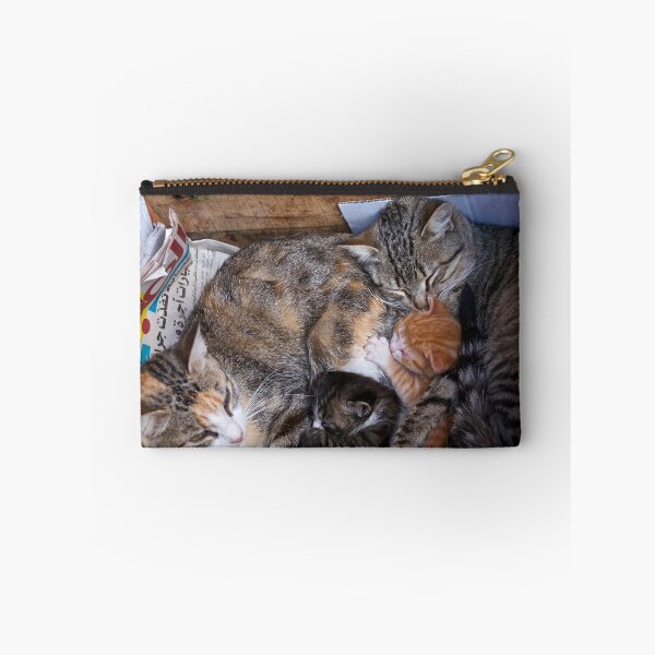 Item preview, Morocco - Family cat designed and sold by Jean-Luc Rollier.