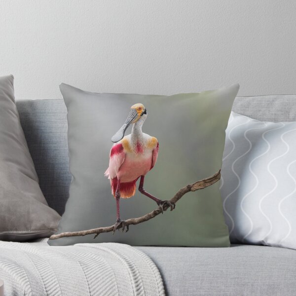 Item preview, Portrait of Roseate spoonbill designed and sold by Puttaswamy Ravishankar.