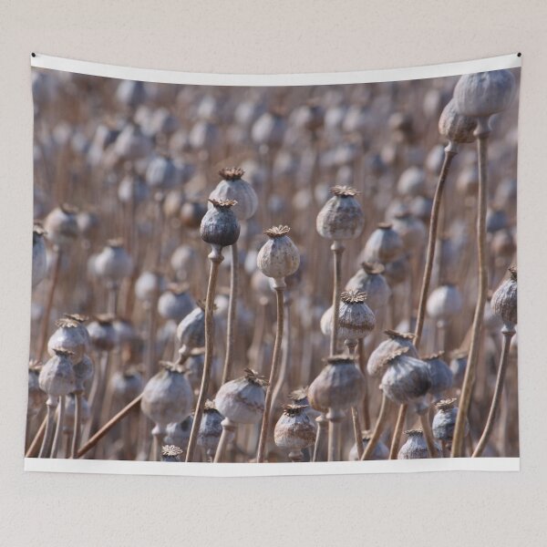 Item preview, Poppys designed and sold by johkar-photos.