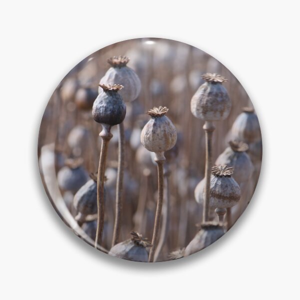 Item preview, Poppys designed and sold by johkar-photos.
