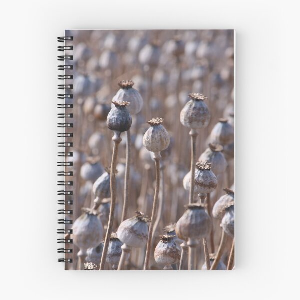 Item preview, Poppys designed and sold by johkar-photos.