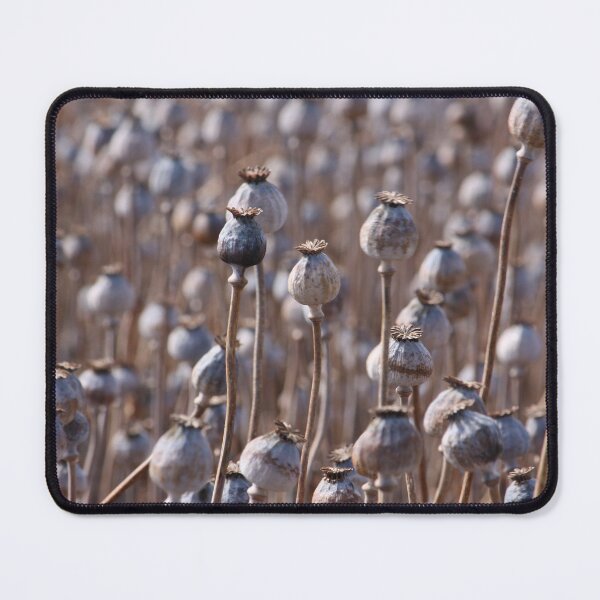 Item preview, Poppys designed and sold by johkar-photos.
