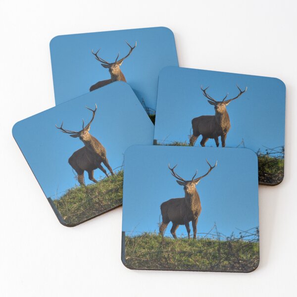 Item preview, Highlands Red Deer designed and sold by Derren Jones.