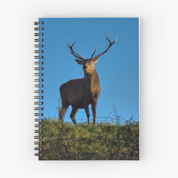 Item preview, Highlands Red Deer designed and sold by Derren Jones.