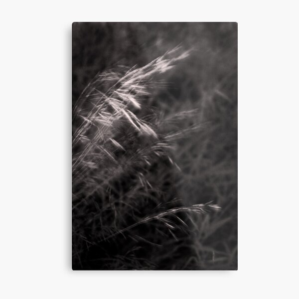 time is moving... Metal Print