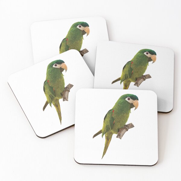 Item preview, The noble macaw designed and sold by obscurite.