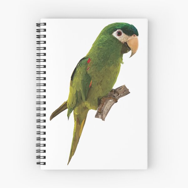 Item preview, The noble macaw designed and sold by obscurite.