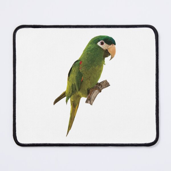 Item preview, The noble macaw designed and sold by obscurite.