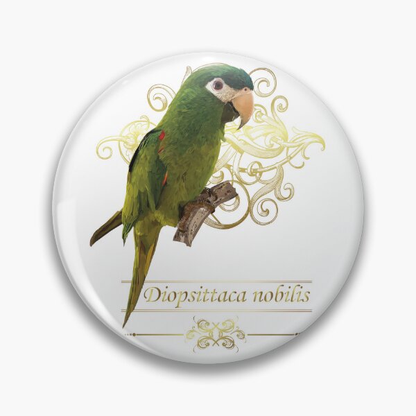 Item preview, The noble macaw designed and sold by obscurite.