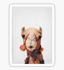 Camel Sticker