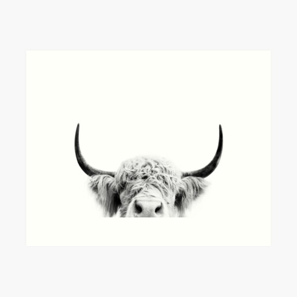 Peeking Cow Art Print