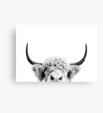 Peeking Cow Metal Print