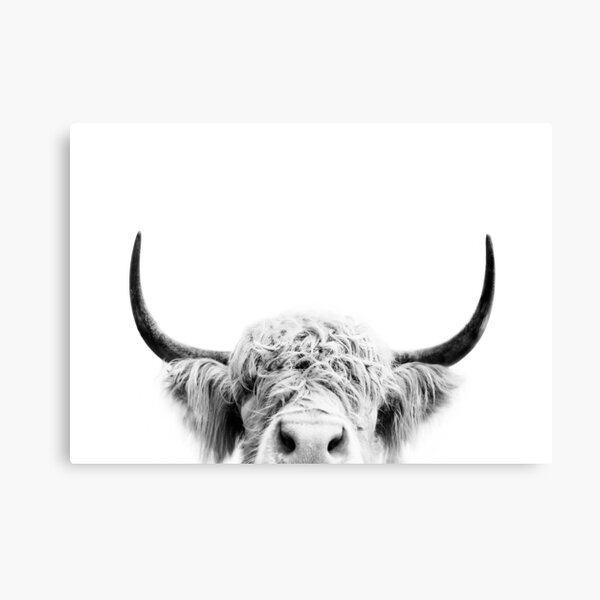 16+ Farm Animal Canvas Art