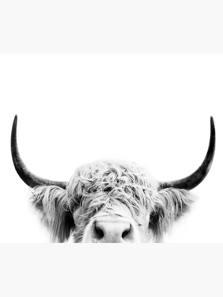 Peeking Cow by sisiandseb