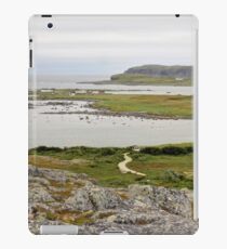 Desolate iPad Case/Skin