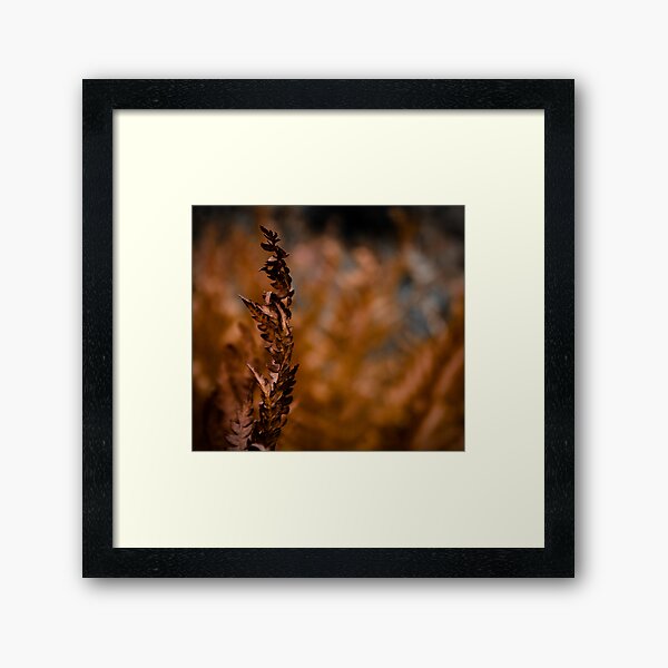 Item preview, Fragility designed and sold by Stephen Rowsell.