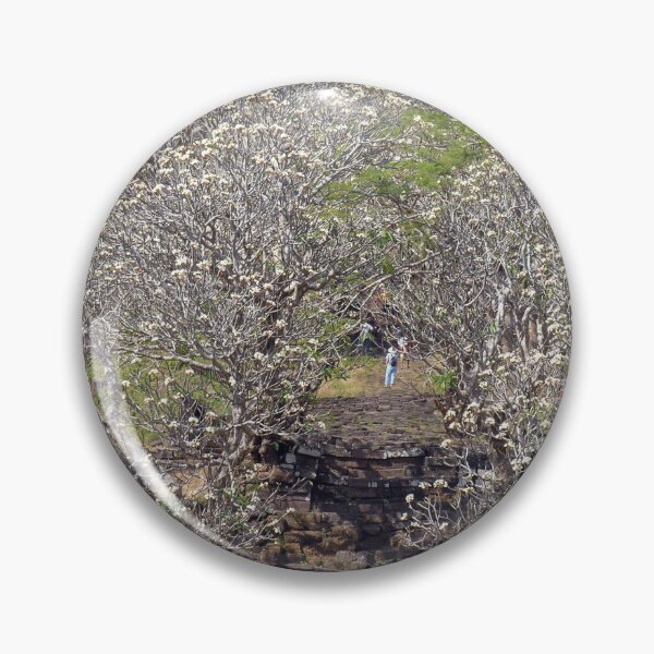 Item preview, Flowering Blooming Tree, Champasak, Khmer temple complex, Laos designed and sold by worldways.