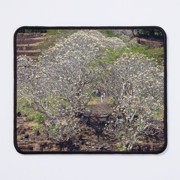 Item preview, Flowering Blooming Tree, Champasak, Khmer temple complex, Laos designed and sold by worldways.
