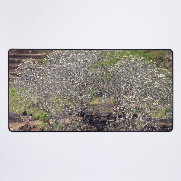 Item preview, Flowering Blooming Tree, Champasak, Khmer temple complex, Laos designed and sold by worldways.