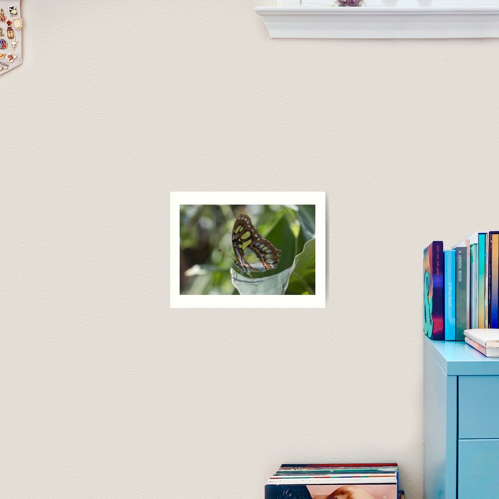 Item preview, Art Print designed and sold by pietrofoto.
