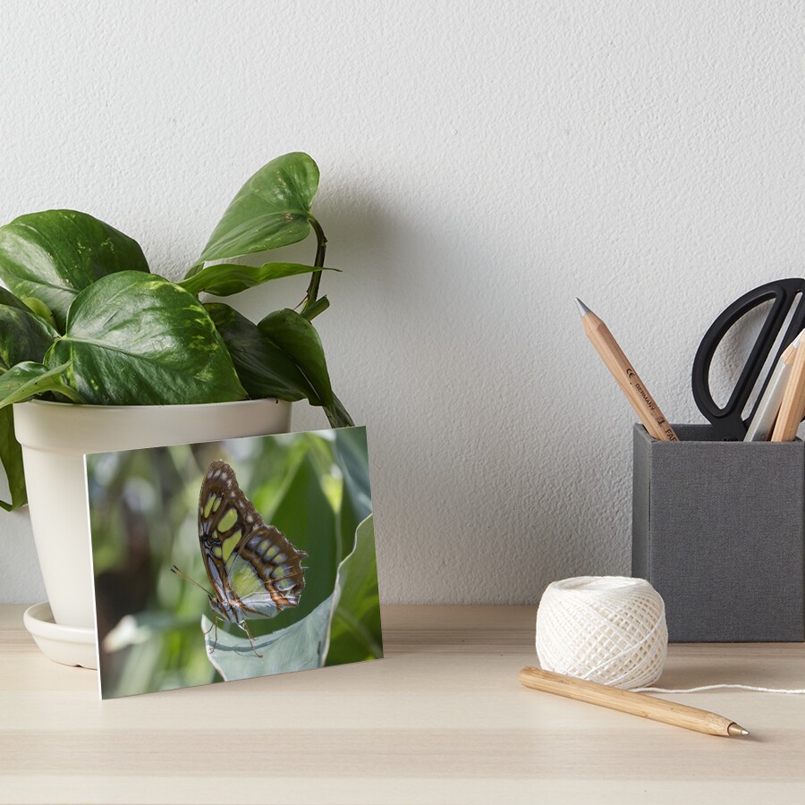 Item preview, Art Board Print designed and sold by pietrofoto.