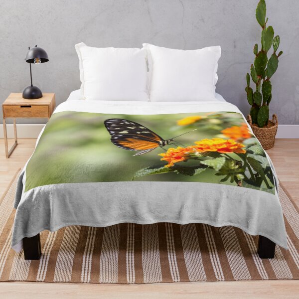 Item preview, Heliconian butterfly designed and sold by pietrofoto.