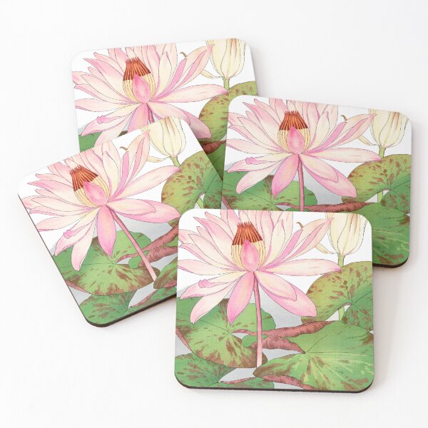 Item preview, Nymphaea lotus byTanigami Konan, vintage botanical,Japanese Woodblock Painting Exhibition,ukiyo e,  designed and sold by Tamas Das.