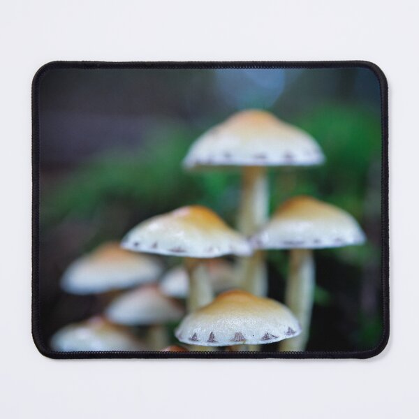 Item preview, Autumn's finest designed and sold by Anita van Gendt.