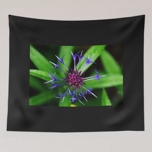 Item preview, Cornflower designed and sold by Debbie Oppermann.