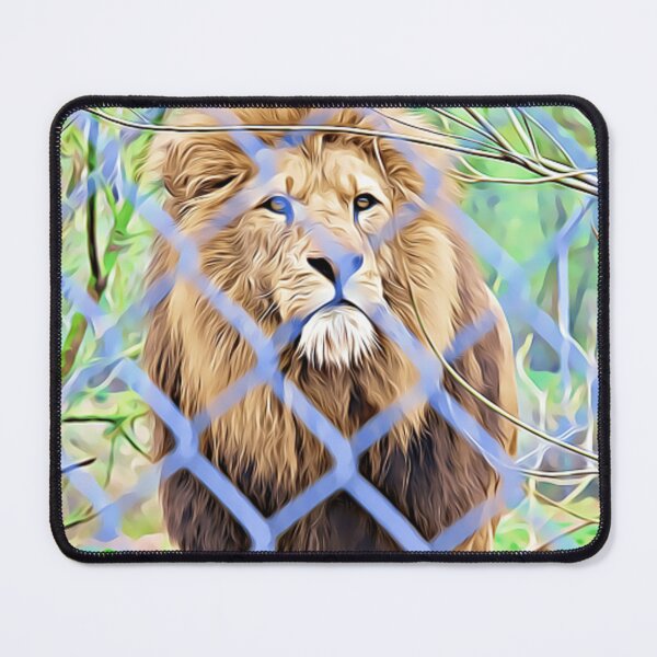 Item preview, wild lion designed and sold by Design Kingdom.