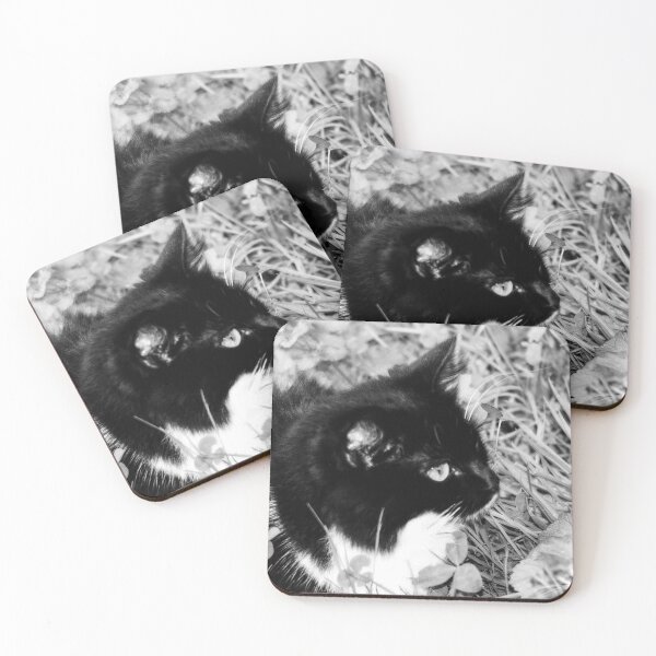 Item preview, black and white cat designed and sold by Francespoppy.