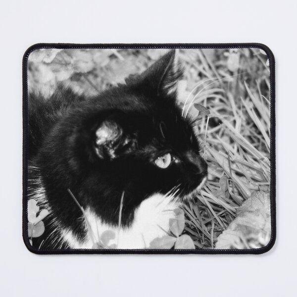 Item preview, black and white cat designed and sold by Francespoppy.
