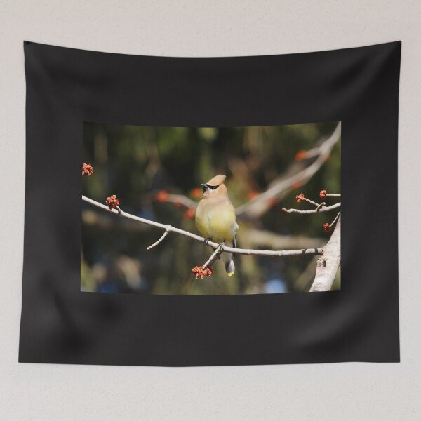 Item preview, Cedar Waxwing designed and sold by Debbie Oppermann.