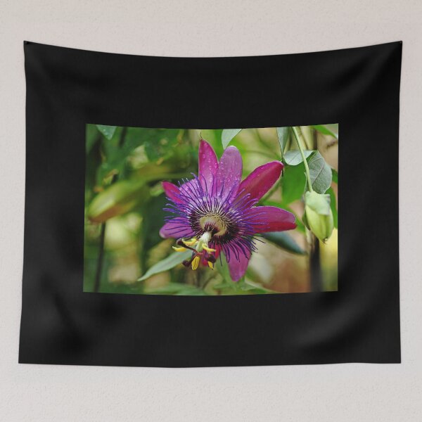 Item preview, Passion Flower designed and sold by Debbie Oppermann.